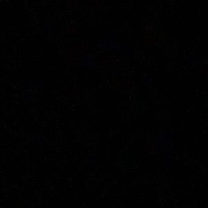 Meet your Posher, Bella